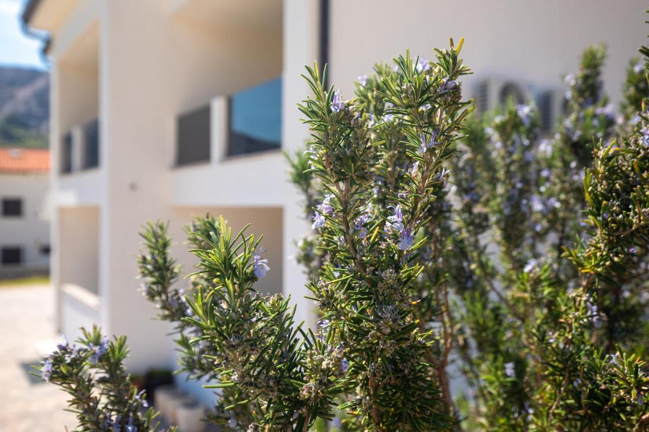 Apartments Augustinovic باشْكا المظهر الخارجي الصورة